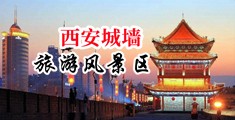 将军巨屌抽插小逼中国陕西-西安城墙旅游风景区