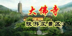 欧洲美女玩鸡巴中国浙江-新昌大佛寺旅游风景区